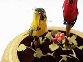Vintage Singing Birds In Cage Automata - West Germany - - 72519b 4
