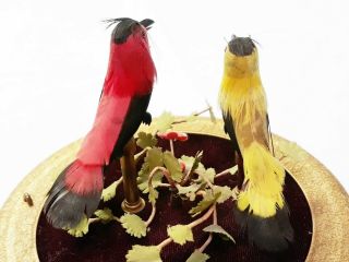 Vintage Singing Birds In Cage Automata - West Germany - - 72519b 6