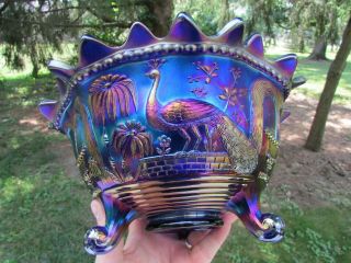 Northwood Peacock At The Ftn Antique Carnival Glass Ftd Fruit Bowl Electric Blue