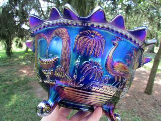Northwood PEACOCK AT THE FTN ANTIQUE CARNIVAL GLASS FTD FRUIT BOWL ELECTRIC BLUE 2