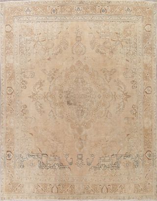 Distressed Old Oriental Rugs Hand - Knotted Wool Living Room Muted Carpet 10x13