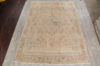 Distressed Old Oriental Rugs Hand - Knotted Wool Living Room Muted Carpet 10x13 2