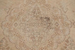 Distressed Old Oriental Rugs Hand - Knotted Wool Living Room Muted Carpet 10x13 4