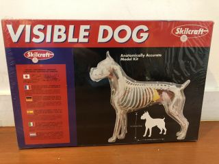 Vintage Skilcraft Visible Dog Boxer Anatomically Accurate Model Kit 74635 Rare