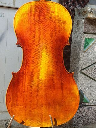4/4 Size Cello Solid Flamed Maple Back Antique Style Spruce Top Tone