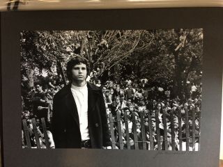 Jim Marshall - Vintage Photograph,  Jim Morrison,  Signed,  Stamped,  Dated 1977