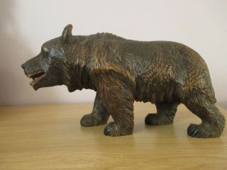 Large 11 " Black Forest Strolling Bear Wood Carving Swiss