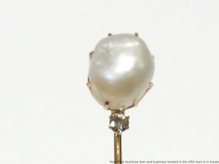 Rare GIA Huge 12mm Natural Mississippi River Pearl Diamond 14k Gold Antique Pin 2