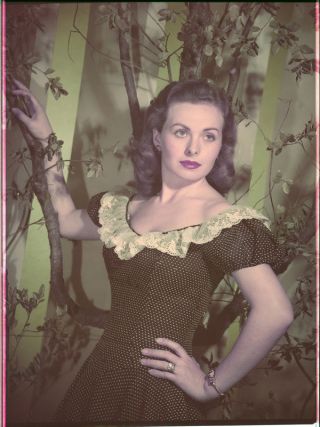 Jeanne Crain Striking Vintage Color Portrait 8x10 Photo Transparency