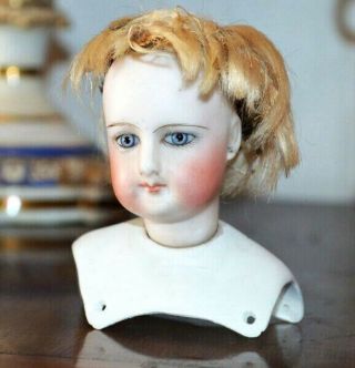 Antique Fashion Doll Bisque French Francois Gaultier Lady in Clothing 2