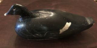 Vintage Oversize White - Winged Scoter Duck Decoy Hollow J.  Rowe Carved Wood
