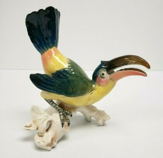 Very Rare Toucan Vintage Karl Ens Porcelain Parrot Mccaw Bird Figurine Repaired
