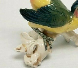 Very Rare TOUCAN Vintage Karl Ens Porcelain Parrot Mccaw Bird Figurine REPAIRED 3