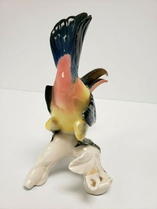 Very Rare TOUCAN Vintage Karl Ens Porcelain Parrot Mccaw Bird Figurine REPAIRED 6