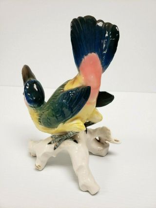 Very Rare TOUCAN Vintage Karl Ens Porcelain Parrot Mccaw Bird Figurine REPAIRED 7