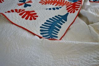 Antique Hand Stitched Princess Feather Quilt Patriotic Colors 10