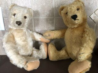 2 - VINTAGE STEIFF BEARS GORGEOUS LATE 40 ' s/50’s ORIG.  BROTHER & SISTERS EX. 2