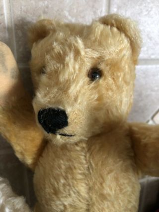 2 - VINTAGE STEIFF BEARS GORGEOUS LATE 40 ' s/50’s ORIG.  BROTHER & SISTERS EX. 8