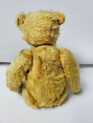 Rare Early Antique Steiff Teddy Bear early 1900s 3