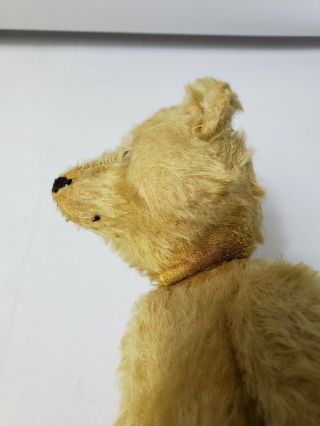 Rare Early Antique Steiff Teddy Bear early 1900s 8