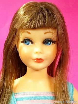 Pretty Brunette Tnt Bend Leg Skipper Doll 1105 Minty Vintage 1960 