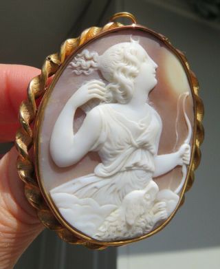 Antique Victorian 1870 Shell Cameo & Gold Frame Of Diana