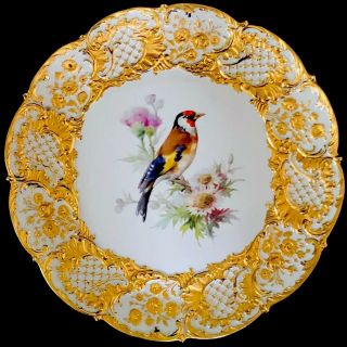 Rare Large Antique Meissen Porcelain Rococo Heavy Gold Gilded Bird