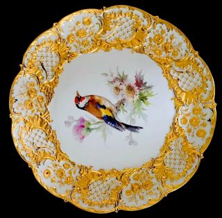 Rare Large Antique meissen porcelain Rococo Heavy Gold Gilded Bird 2