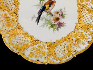 Rare Large Antique meissen porcelain Rococo Heavy Gold Gilded Bird 3