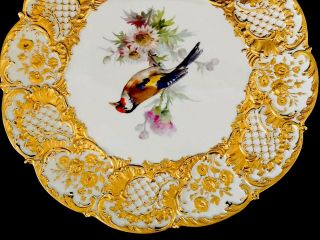 Rare Large Antique meissen porcelain Rococo Heavy Gold Gilded Bird 4