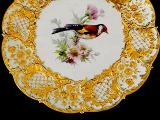 Rare Large Antique meissen porcelain Rococo Heavy Gold Gilded Bird 5