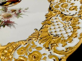 Rare Large Antique meissen porcelain Rococo Heavy Gold Gilded Bird 6