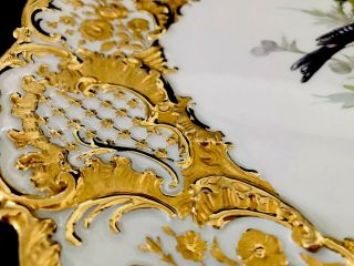 Rare Large Antique meissen porcelain Rococo Heavy Gold Gilded Bird 7