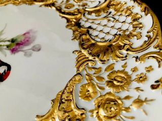 Rare Large Antique meissen porcelain Rococo Heavy Gold Gilded Bird 8