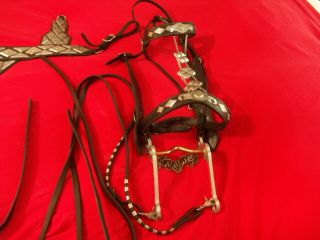 Ted Flowers Parade Bridle And Breast Collar