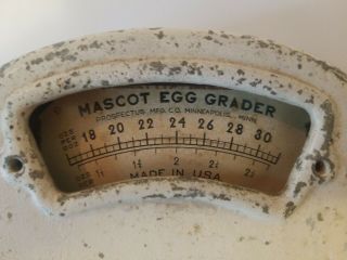 RARE 1930 Antique White Mascot Chicken Egg Grader Scale - Vintage/Old 2