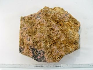 Rhodochrosite Rare Black Plume Manganese Argentina 6.  2 