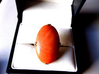 Vintage 18k Yellow Gold Ring With Fine Natural Coral
