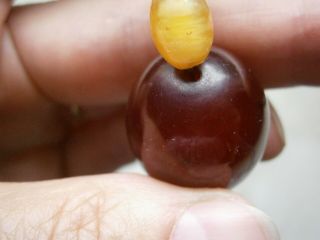 Vintage Choker length Cherry Amber Bakelite ? and yellow Bead Necklace 44 grams 5