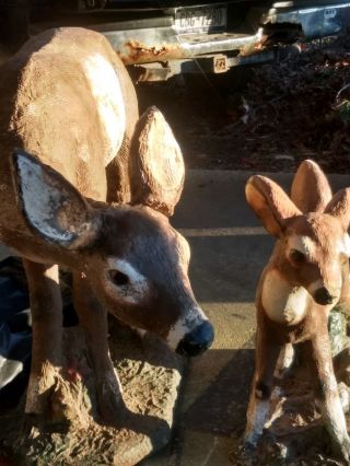 Vintage Concrete Deer Lawn Ornaments (doe and fawn) 4
