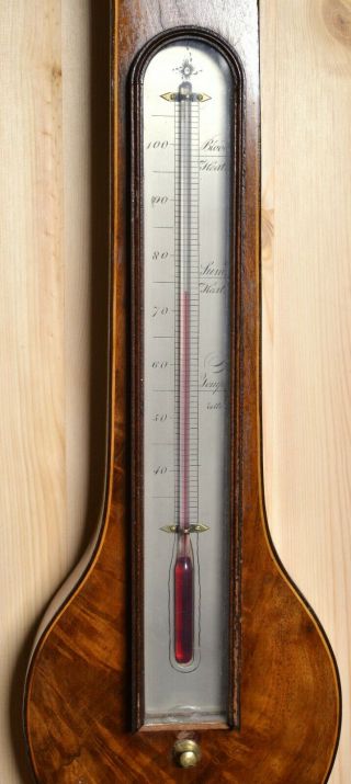 Graceful 4 dials Mahogany F.  Amadio Banjo Wheel Barometer ca 1830 Antique 3