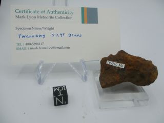 Twannberg Iron Meteorite.  Numbered 57.  45 Gram Individual.  Rare Classification.