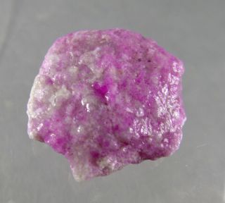Dkd 150f/ 11.  8grams Very Rare Pink Sugilite Rough