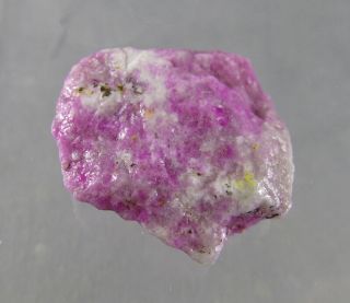 dkd 150F/ 11.  8grams Very Rare Pink Sugilite Rough 2