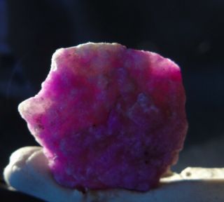 dkd 150F/ 11.  8grams Very Rare Pink Sugilite Rough 5