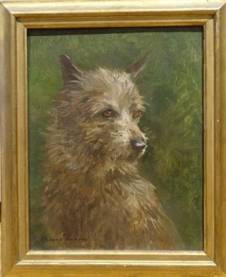 20th Century Scottish Portrait Of A Cairn Terrier Dog Antique Oil Painting