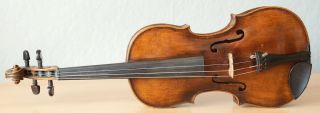 Very Old Labelled Vintage Violin " Francesco Ruggieri " Fiddle 小提琴 ヴァイオリン Geige