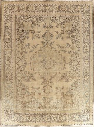 Oriental Distressed Medallion Wool Area Rug Hand - Knotted Floral Carpet 10 X 12