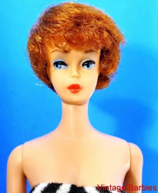 Rare 1st Issue Titian Bubble Cut Barbie Doll 850 W/eye Shadow - Vintage 1960 