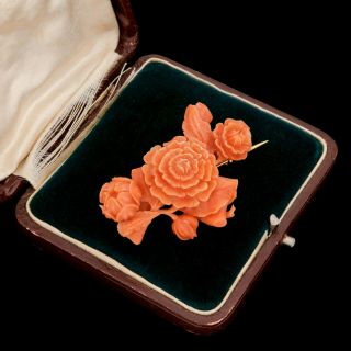 Antique Vintage Georgian 18k Yellow Gold Carved Salmon Coral Floral Pin Brooch